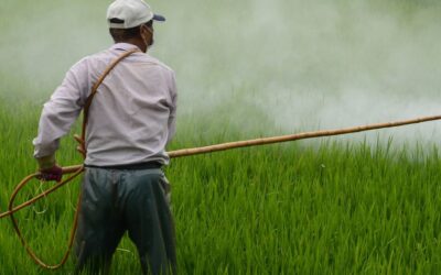 Julgamento sobre banimento de agrotóxicos com atrazina seguirá sob competência da Justiça do Trabalho